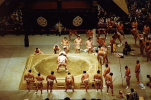 Sumo