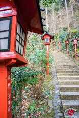 Sanctuaire à côté du temple Nanzo-in à Fukuoka Sanctuaire à côté du temple Nanzo-in à Fukuoka