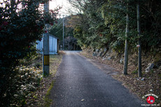 La petite bambouseraie du temple Nanzo-in La petite bambouseraie du temple Nanzo-in