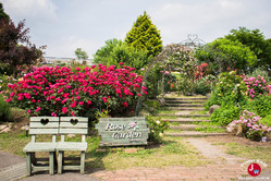 Les fleurs du Kuju Flower Park Les fleurs du Kuju Flower Park