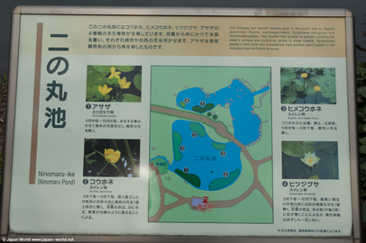 Plan des jardins Est du Palais Imperial