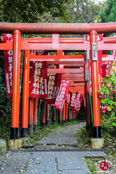 L'entrée du sanctuaire Sasuke Inari-jinja